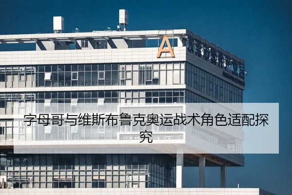 字母哥与维斯布鲁克奥运战术角色适配探究（loljiangcai）