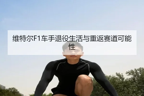 维特尔F1车手退役生活与重返赛道可能性（loljiangcai）